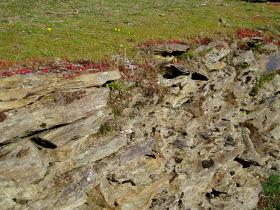 photo coins arrondis